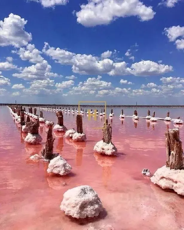 Участок в Крым, Сакский район, Лесновское с/пос, с. Владимировка  (6.0 ... - Фото 2