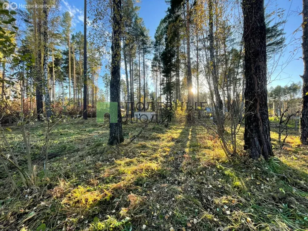 Участок в Красноярский край, городской округ Дивногорск, село Овсянка ... - Фото 1