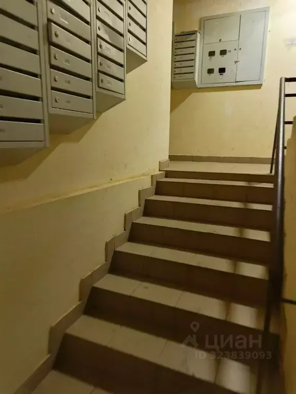 Студия Московская область, Подольск городской округ, д. Бородино ш. ... - Фото 2