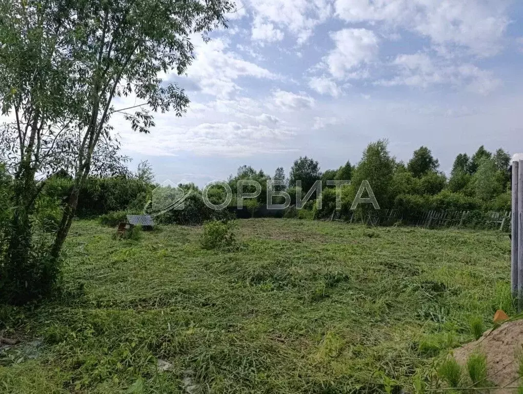 Участок в Тюменская область, Нижнетавдинский муниципальный округ, ... - Фото 1