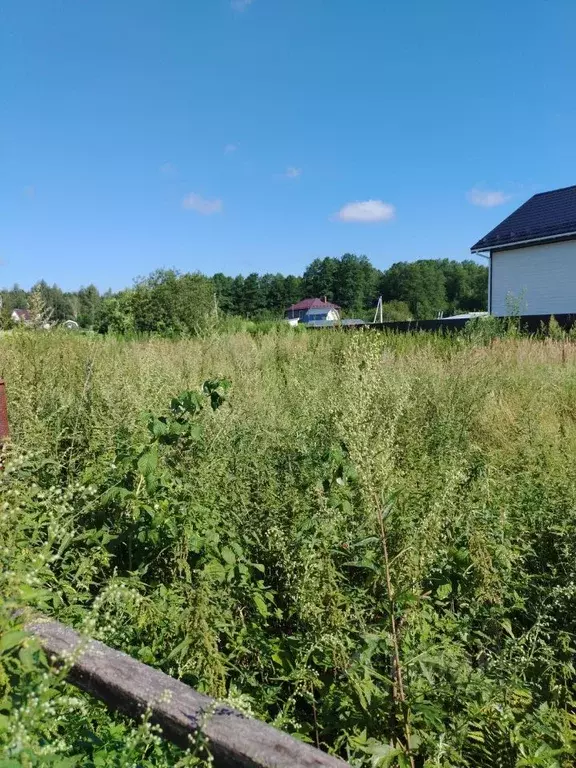 Участок в Московская область, Орехово-Зуевский городской округ, д. ... - Фото 0