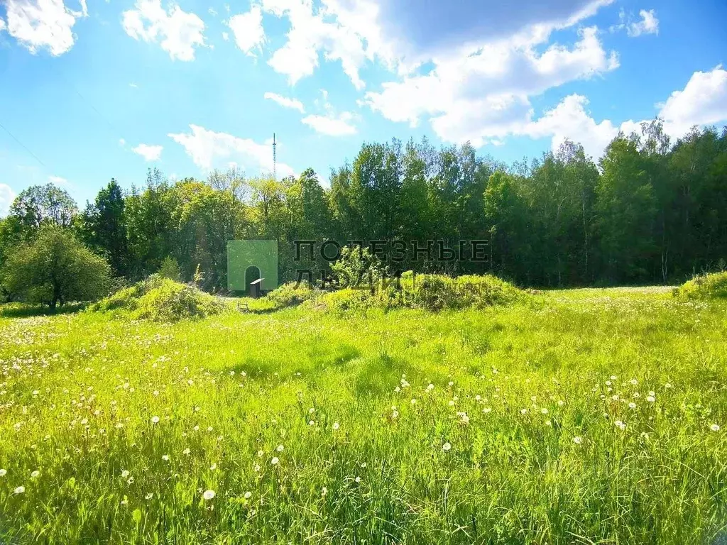 Участок в Орловская область, Орловский район, пос. Телецентр ... - Фото 2