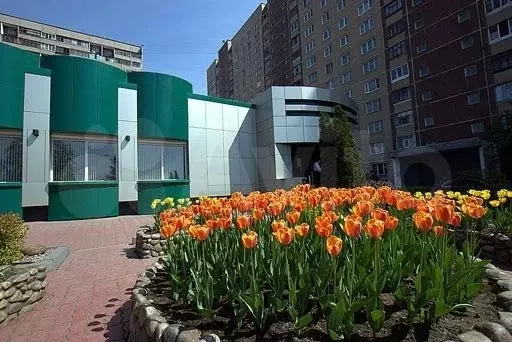 Здание на ул Суздальская - Фото 0