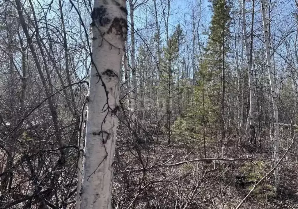 Участок, 8.9 сот., поселения (ижс) - Фото 0