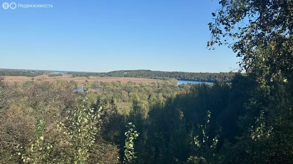 Участок в Московская область, городской округ Луховицы, деревня ... - Фото 0