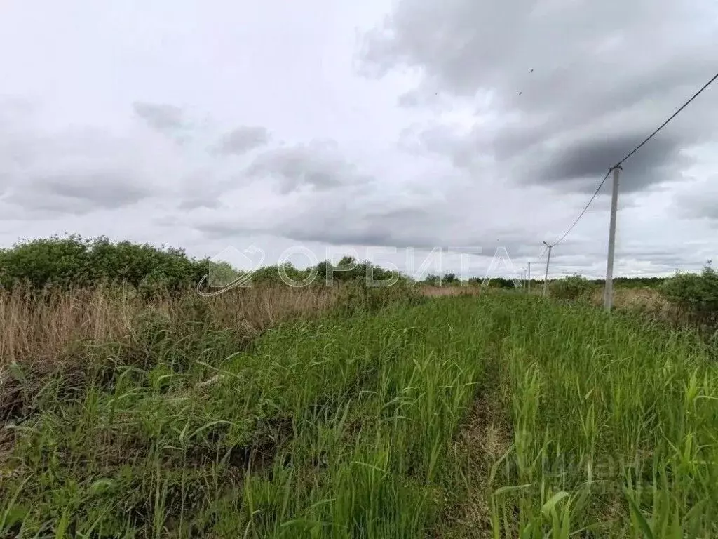 Участок в Тюменская область, Тюмень Березняки СНТ,  (12.0 сот.) - Фото 2