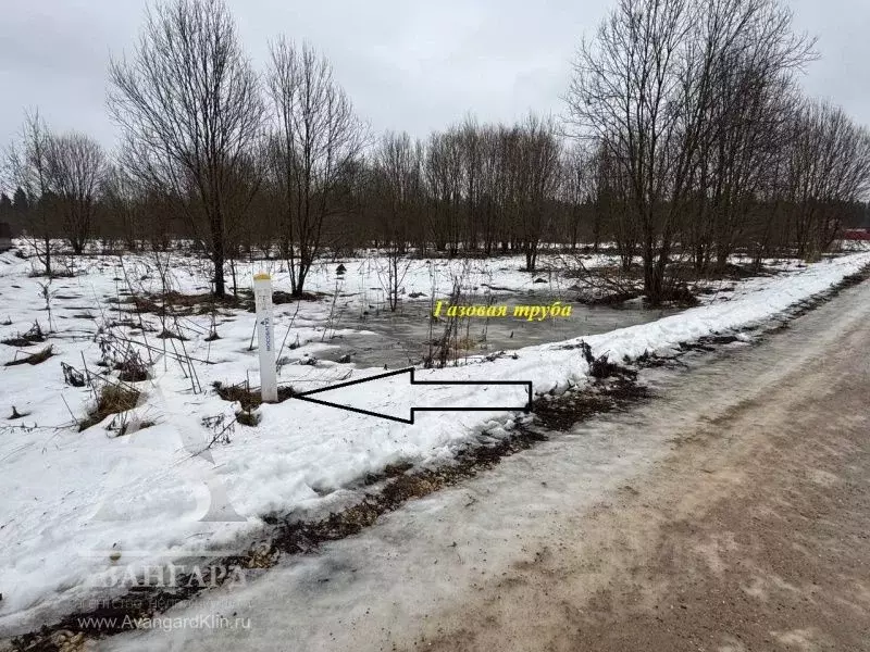 Участок в Московская область, Клин городской округ, д. Кузнецово ул. ... - Фото 1