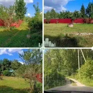 Участок в Брянская область, Брянский район, Нетьинское с/пос, д. ... - Фото 2