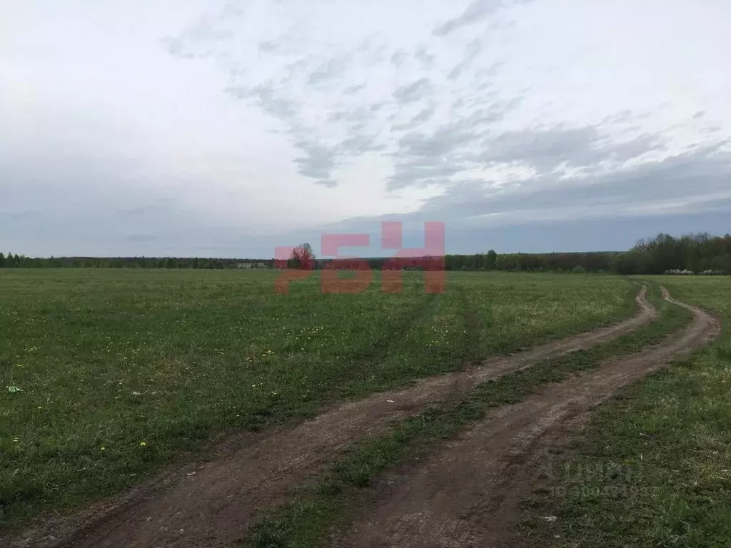 Участок в Пензенская область, Городищенский район, с. Русский Ишим ... - Фото 1