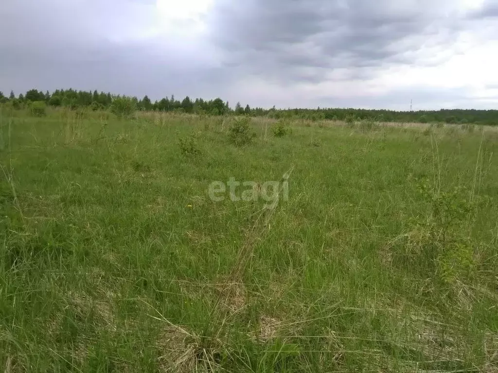 участок в калужская область, калуга городской округ, д. березовка ул. . - Фото 0