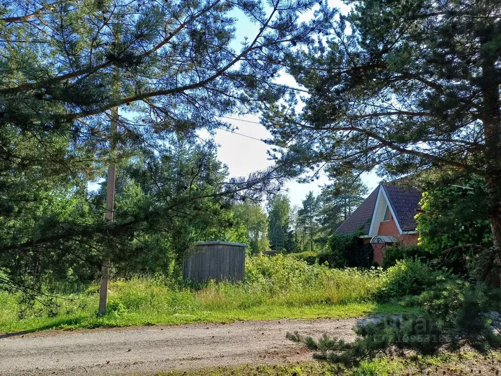 Участок в Ленинградская область, Всеволожский район, Юкковское с/пос, ... - Фото 1