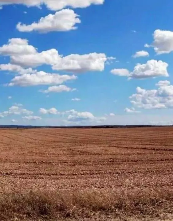 Участок в Воронежская область, Новоусманский район, с. Рогачевка  ... - Фото 0