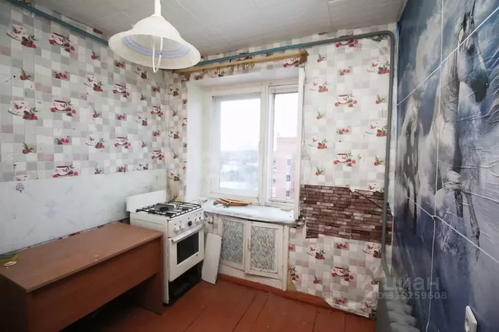 1-к кв. Вологодская область, Шексна рп, Шексна Южная мкр ул. ... - Фото 0