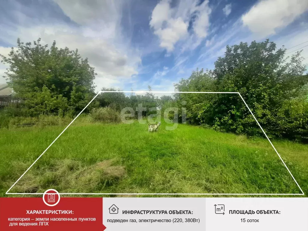 Участок в Белгородская область, Волоконовка рп, Сибирь мкр  (15.0 ... - Фото 2