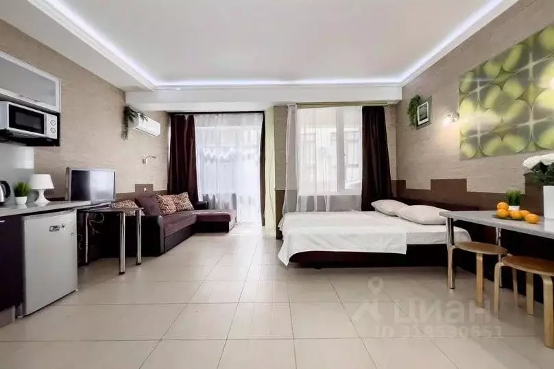 1-к кв. Краснодарский край, Сириус пгт ул. Цветочная, 44/2 (26.0 м) - Фото 1