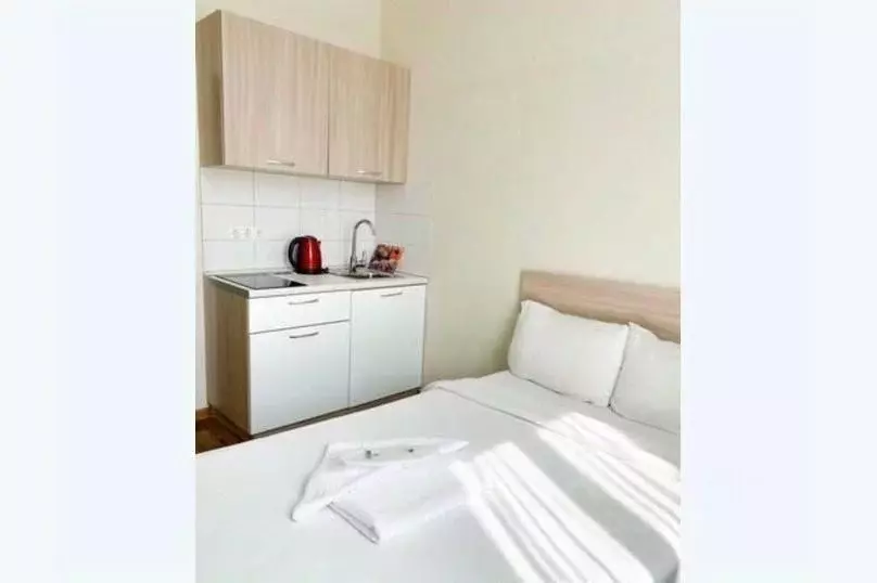 1-к кв. Красноярский край, Красноярск ул. Партизана Железняка, 40Б ... - Фото 2