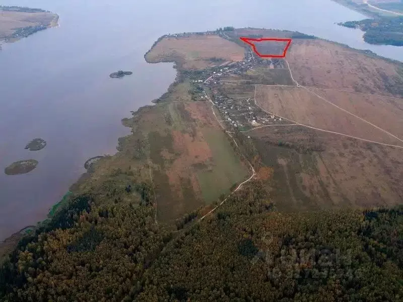 Участок в Нижегородская область, Чкаловск городской округ, д. Малинино ... - Фото 0