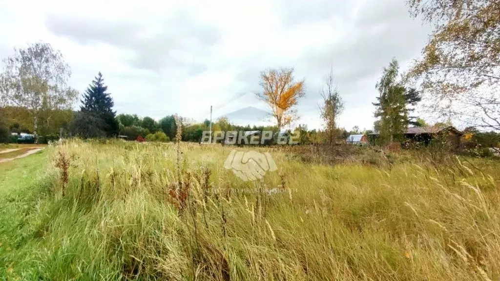 Участок в Рязанская область, Рязанский муниципальный округ, д. ... - Фото 2