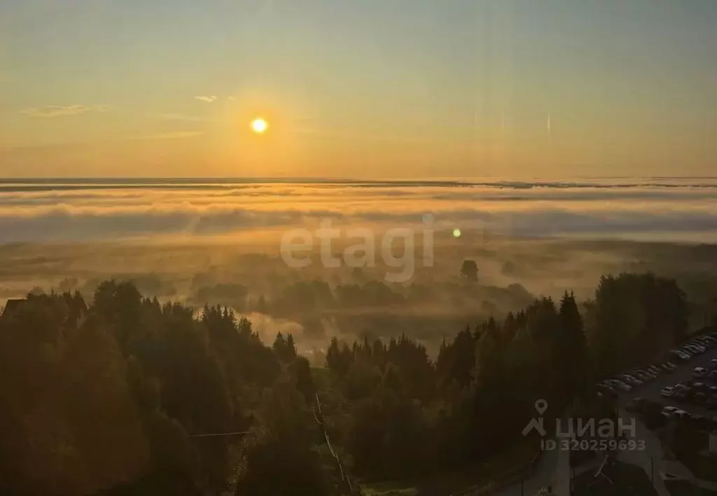 3-к кв. Коми, Сыктывкар Тентюковская ул., 333 (77.6 м) - Фото 1