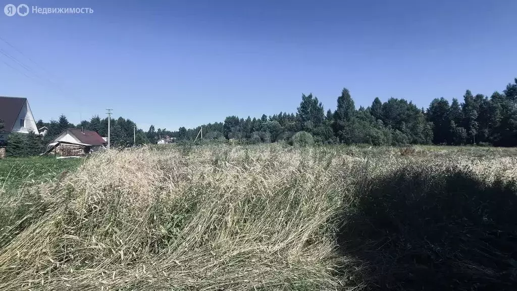 Участок в Будогощское городское поселение, деревня Солоницы (10 м) - Фото 2