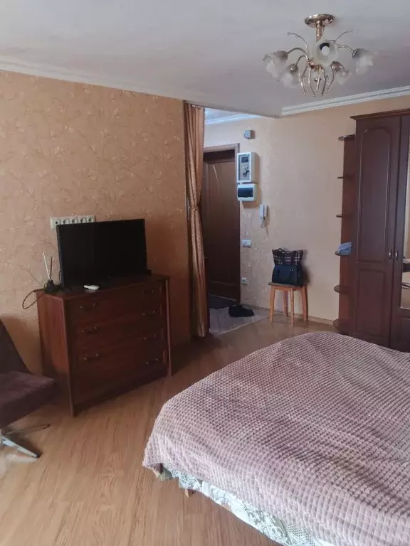 1-к кв. Краснодарский край, Сочи Гагарина мкр, бул. Цветной, 11 (32.0 ... - Фото 2