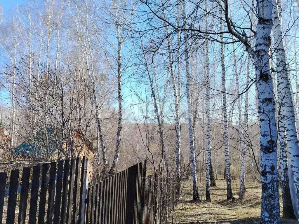 Дом в Новосибирская область, Новосибирский район, Станционный ... - Фото 0