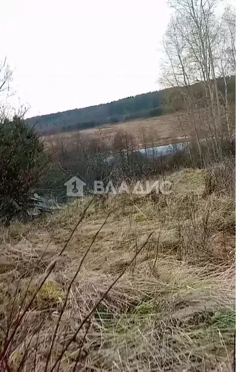 Участок в Нижегородская область, Ветлужский муниципальный округ, д. ... - Фото 0