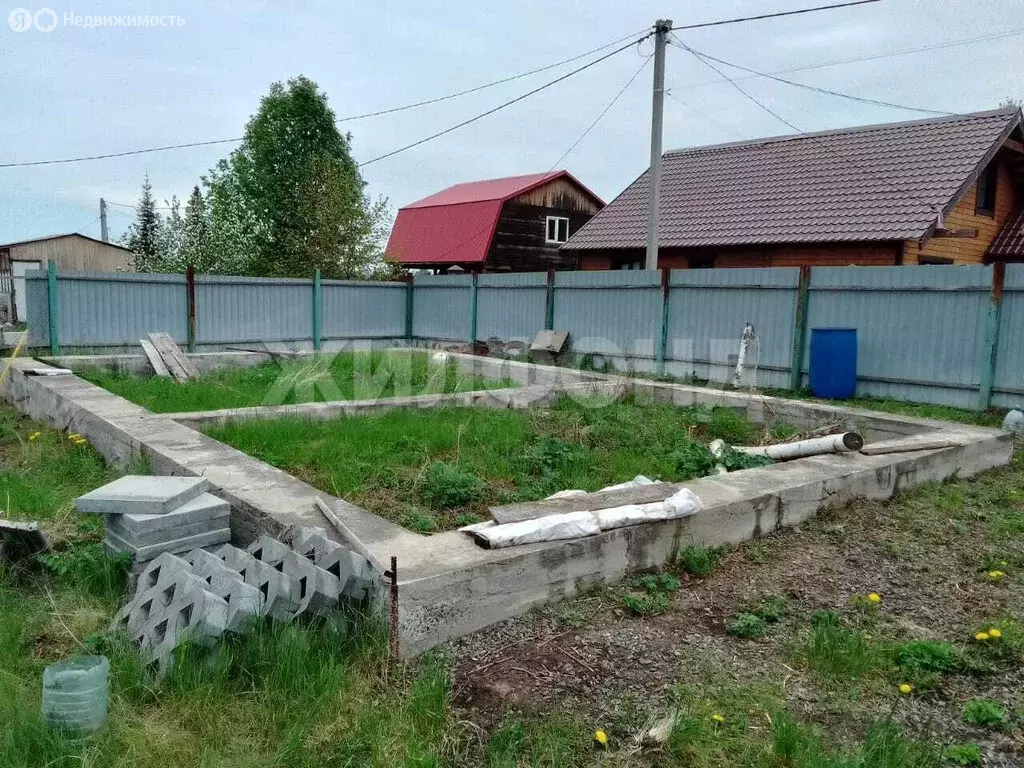 Участок в Новосибирск, территория садоводческого товарищества Дружный ... - Фото 0