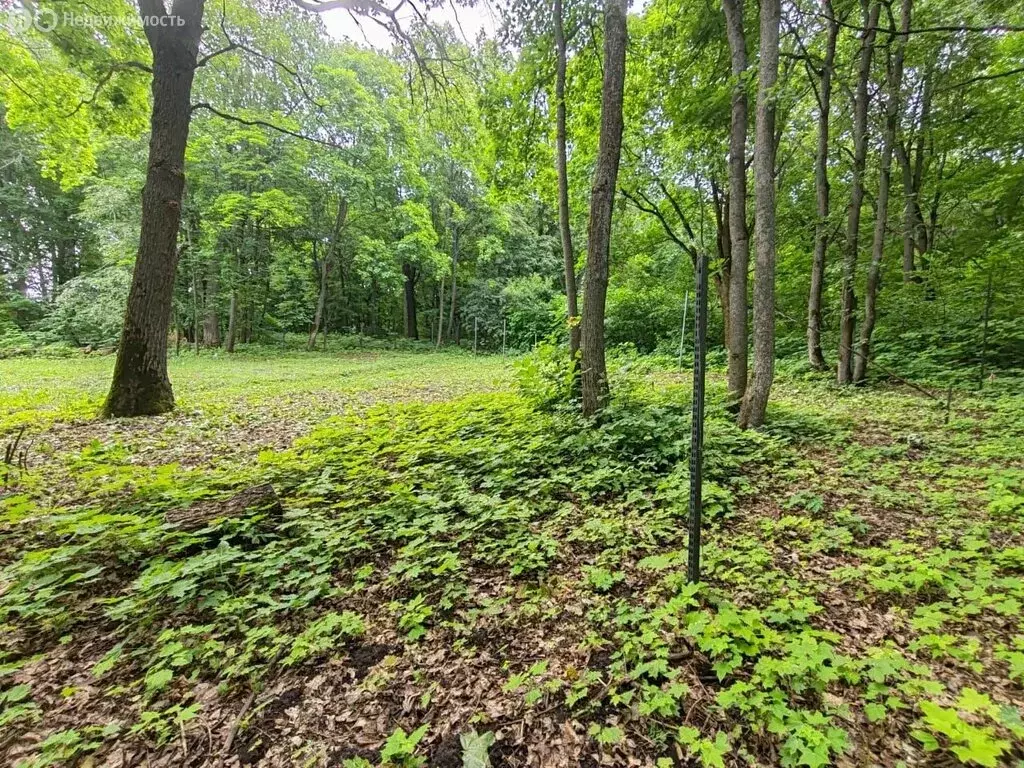 Участок в село Богословка, Фабричная улица (15 м) - Фото 0