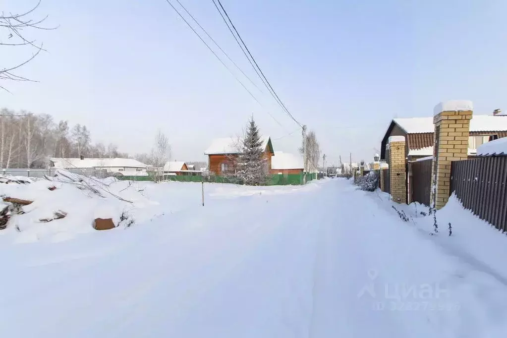 Участок в Тюменская область, Тюмень Сигнал садовое товарищество, ул. ... - Фото 1