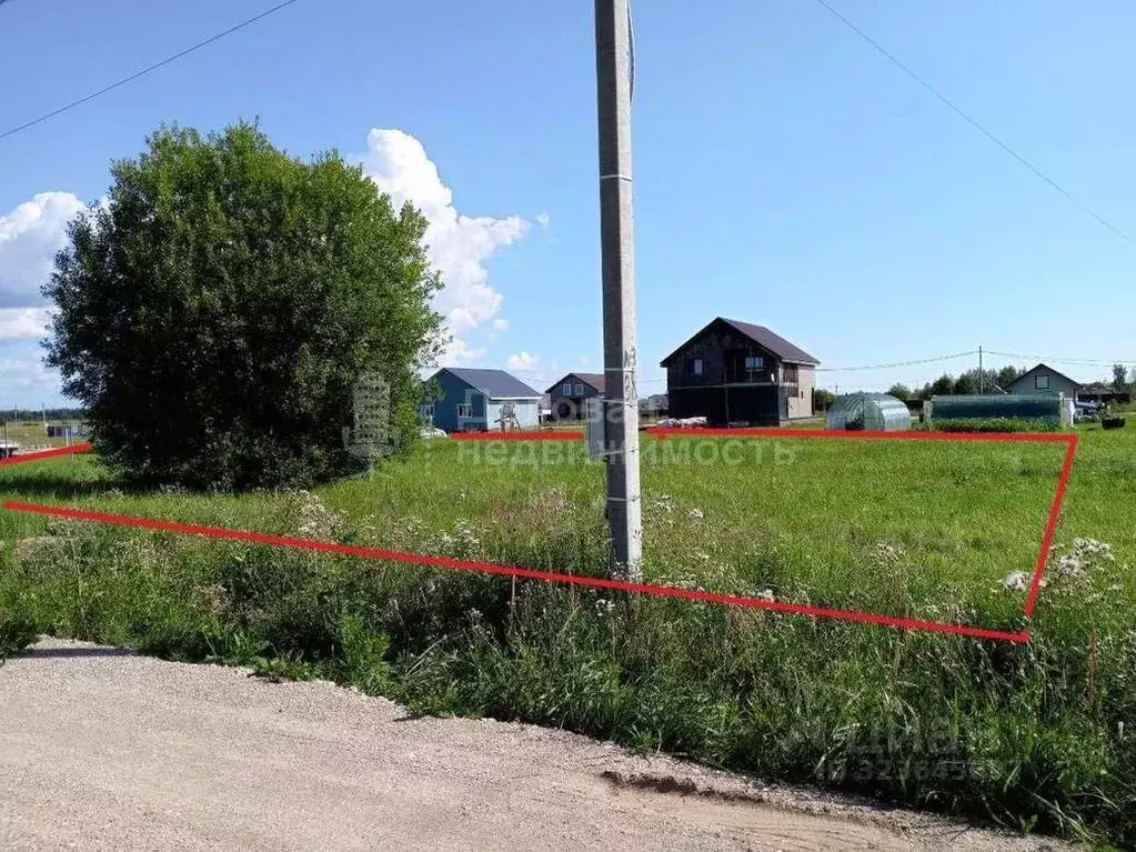 Участок в Новгородская область, Шимское городское поселение, д. Бор ... - Фото 1