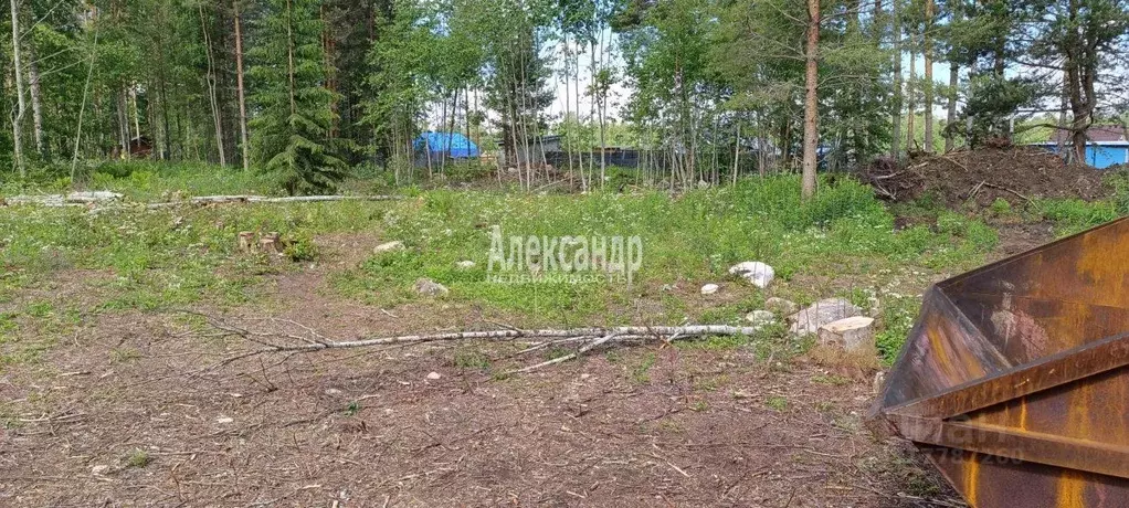 Участок в Ленинградская область, Приозерский район, Ларионовское ... - Фото 0