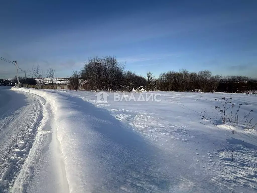 Участок в Московская область, Воскресенск городской округ, с. Сабурово ... - Фото 0