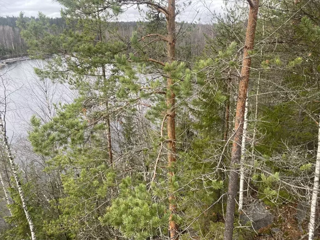 1-к кв. Тверская область, Конаково ул. Гагарина, 34 (36.0 м) - Фото 1