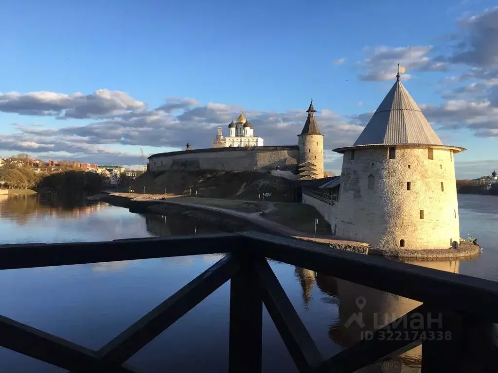 1-к кв. Псковская область, Псков ул. Ижорского Батальона, 41 (40.0 м) - Фото 2