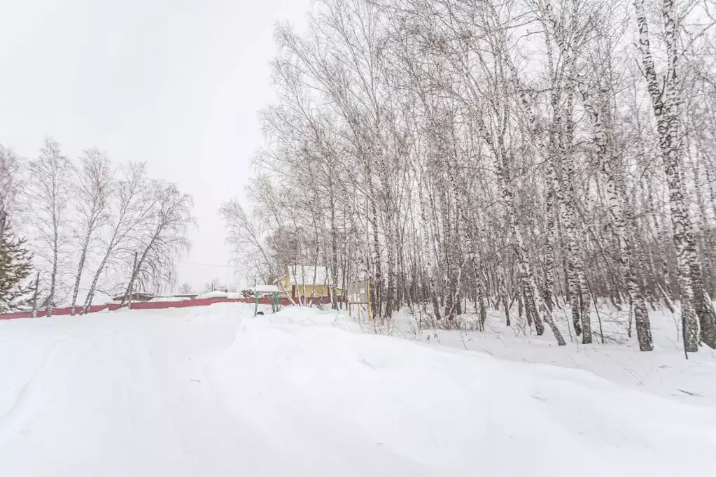Участок в Новосибирская область, Искитимский район, Чернореченский ... - Фото 2