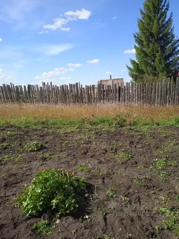 Участок в Свердловская область, Белоярский муниципальный округ, с. ... - Фото 2