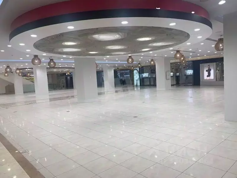 Помещение свободного назначения в Москва Новинский бул., 8 (200 м) - Фото 1