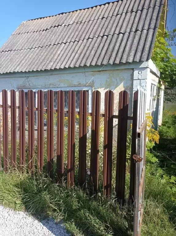 Дом в Брянская область, Фокино Мичуринец-1 садовое товарищество, 54 ... - Фото 1