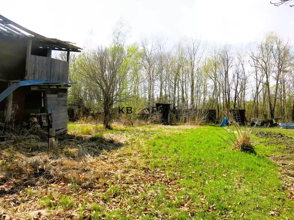 Участок в Еврейская автономная область, Смидовичский район, Дубки СНТ  ... - Фото 0