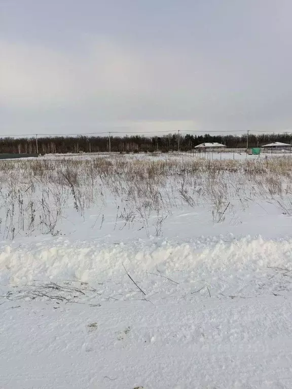 Участок в Ульяновская область, Ульяновск ул. Радужная, 20 (15.0 сот.) - Фото 1