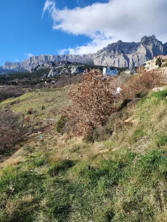 Участок в Крым, Ялта городской округ, Гаспра пгт ш. Алупкинское, 68 ... - Фото 0