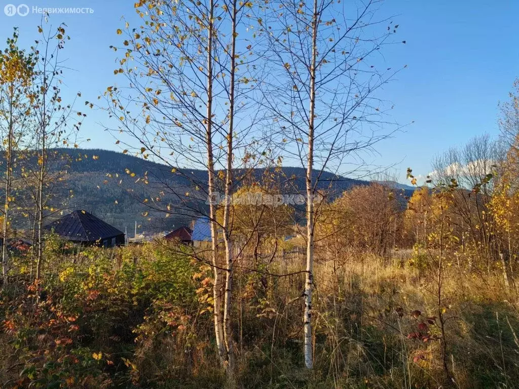 Участок в Таштагол, улица Лизы Чайкиной (15 м) - Фото 2