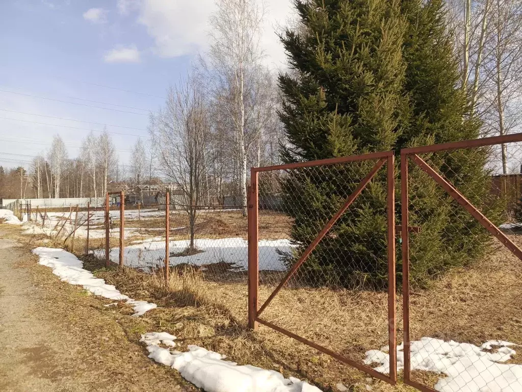 Участок в Московская область, Пушкинский городской округ, пос. Лесные ... - Фото 1
