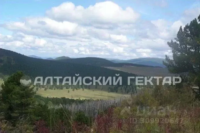 Участок в Алтай, Шебалинский район, с. Беш-Озек  (3040.0 сот.) - Фото 0