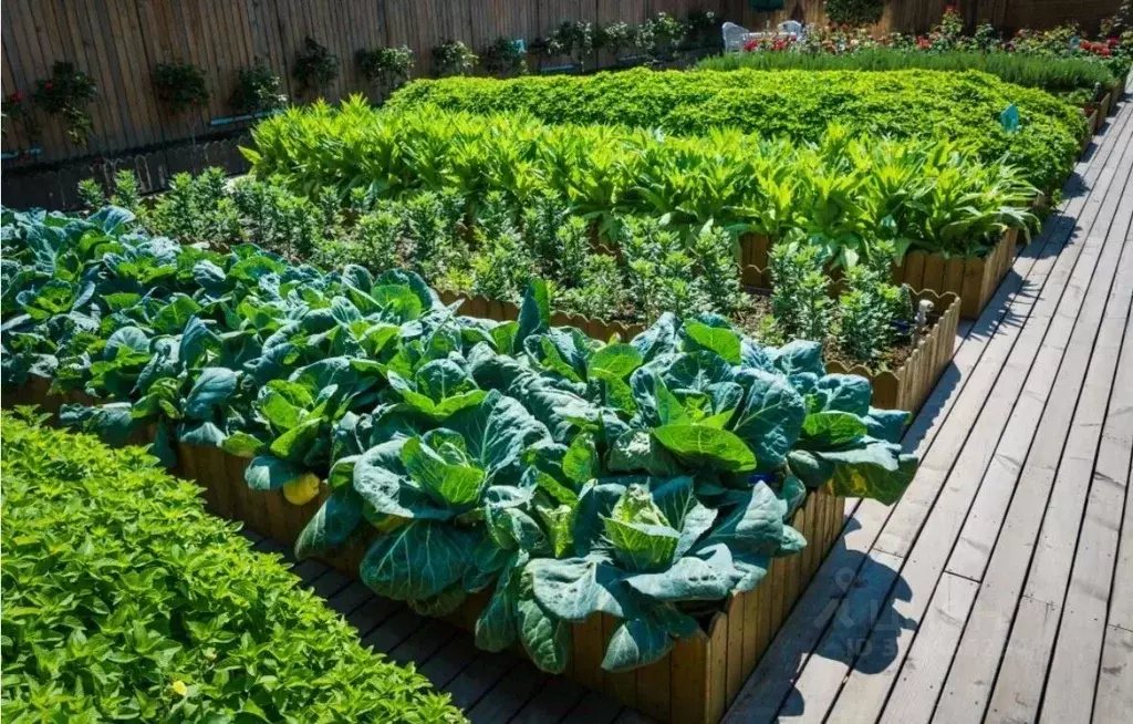 Участок в Мордовия, Лямбирский район, Берсеневское с/пос, д. Старая ... - Фото 1