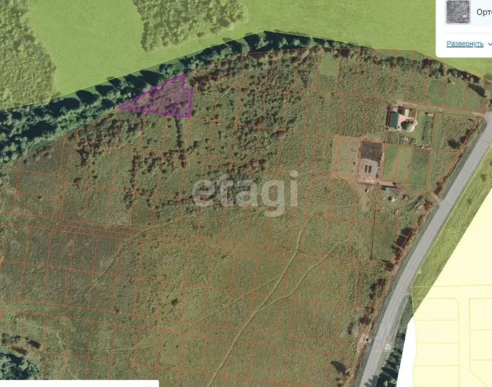 Участок в Алтай, Майминский район, с. Кызыл-Озек  (19.01 сот.) - Фото 1