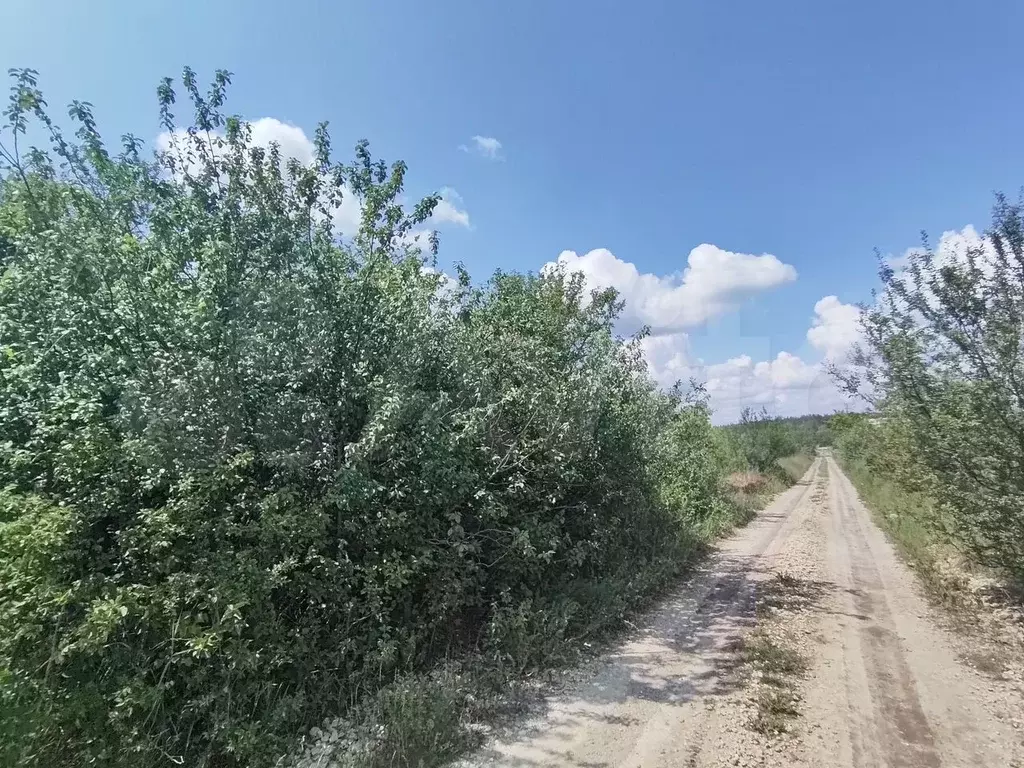 Участок 15 сот. (СНТ, ДНП) - Фото 1