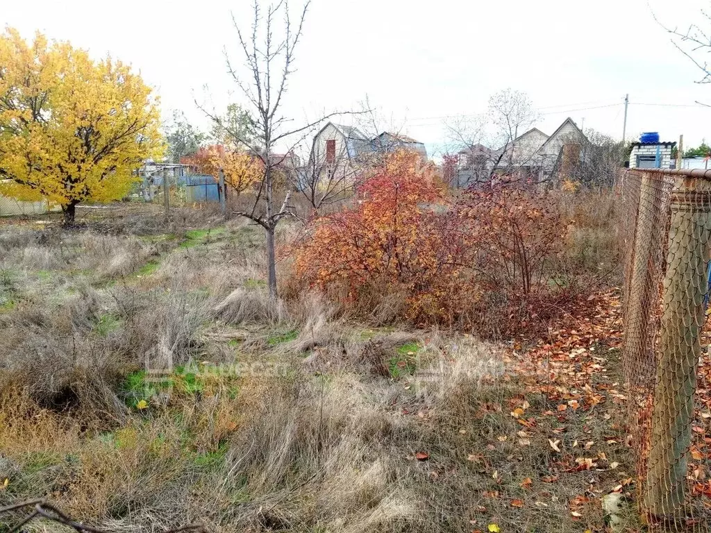 Участок в Волгоград, СНТ Лесник-2 (6 м) - Фото 2