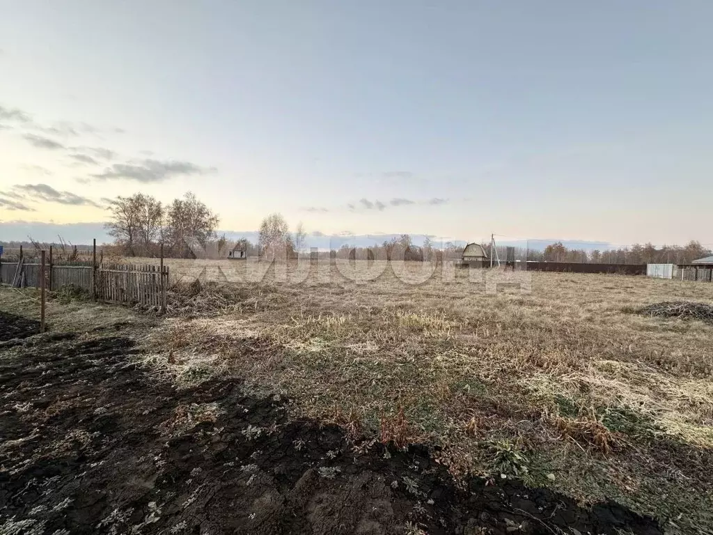 Участок в Новосибирская область, Новосибирский район, Боровской ... - Фото 2